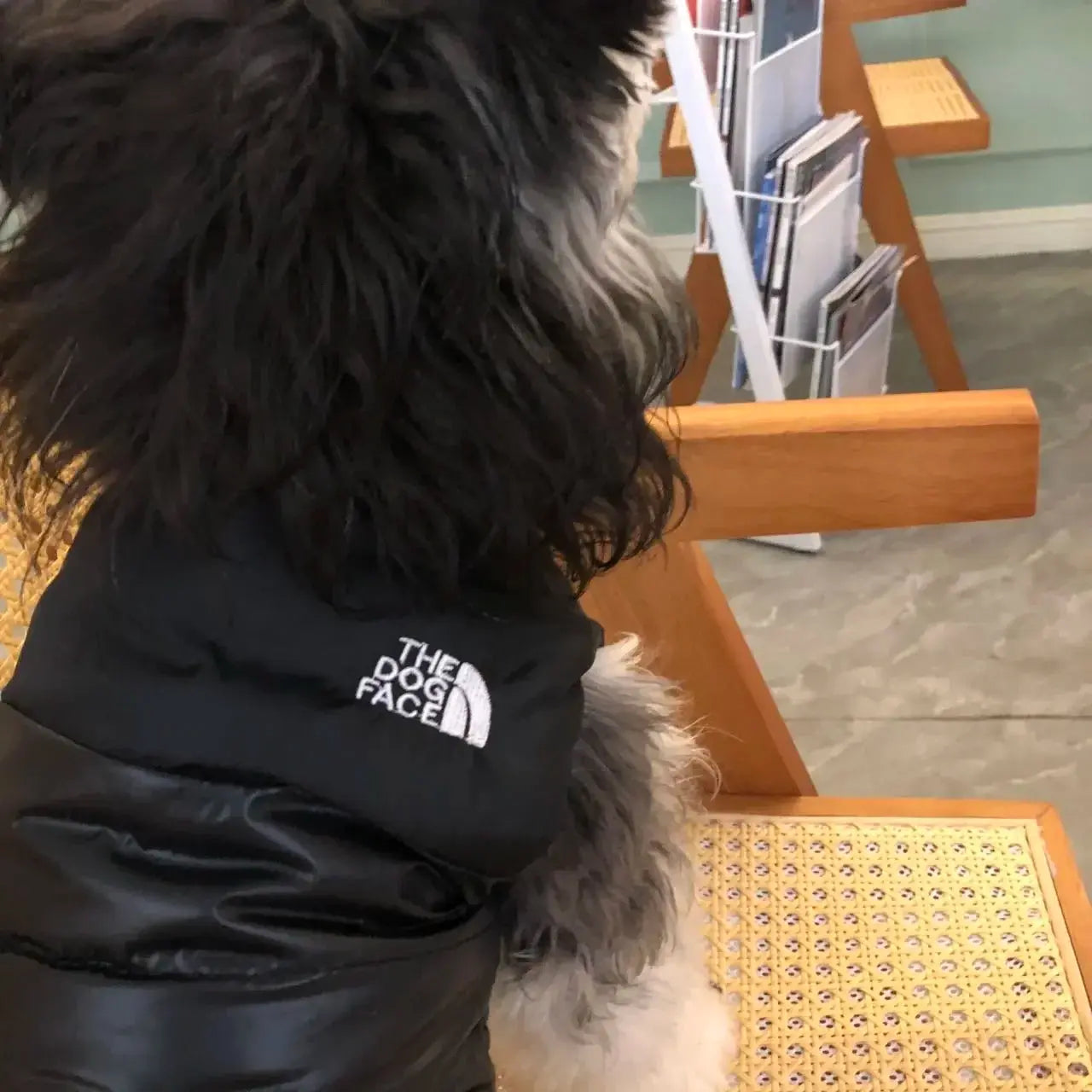 winter pet dog jacket my shop saver