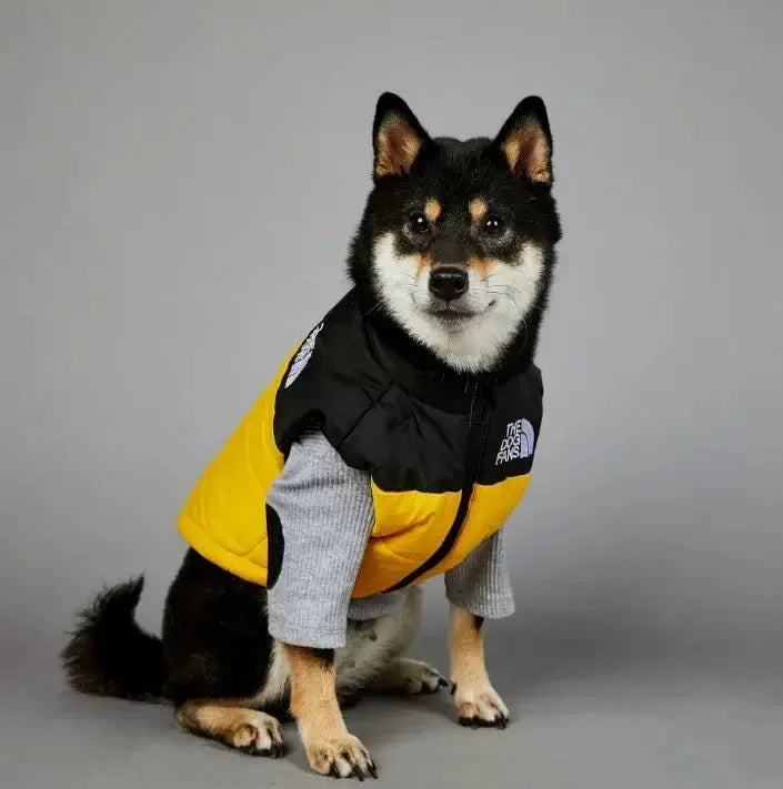 windproof rainproof dog coat my shop saver