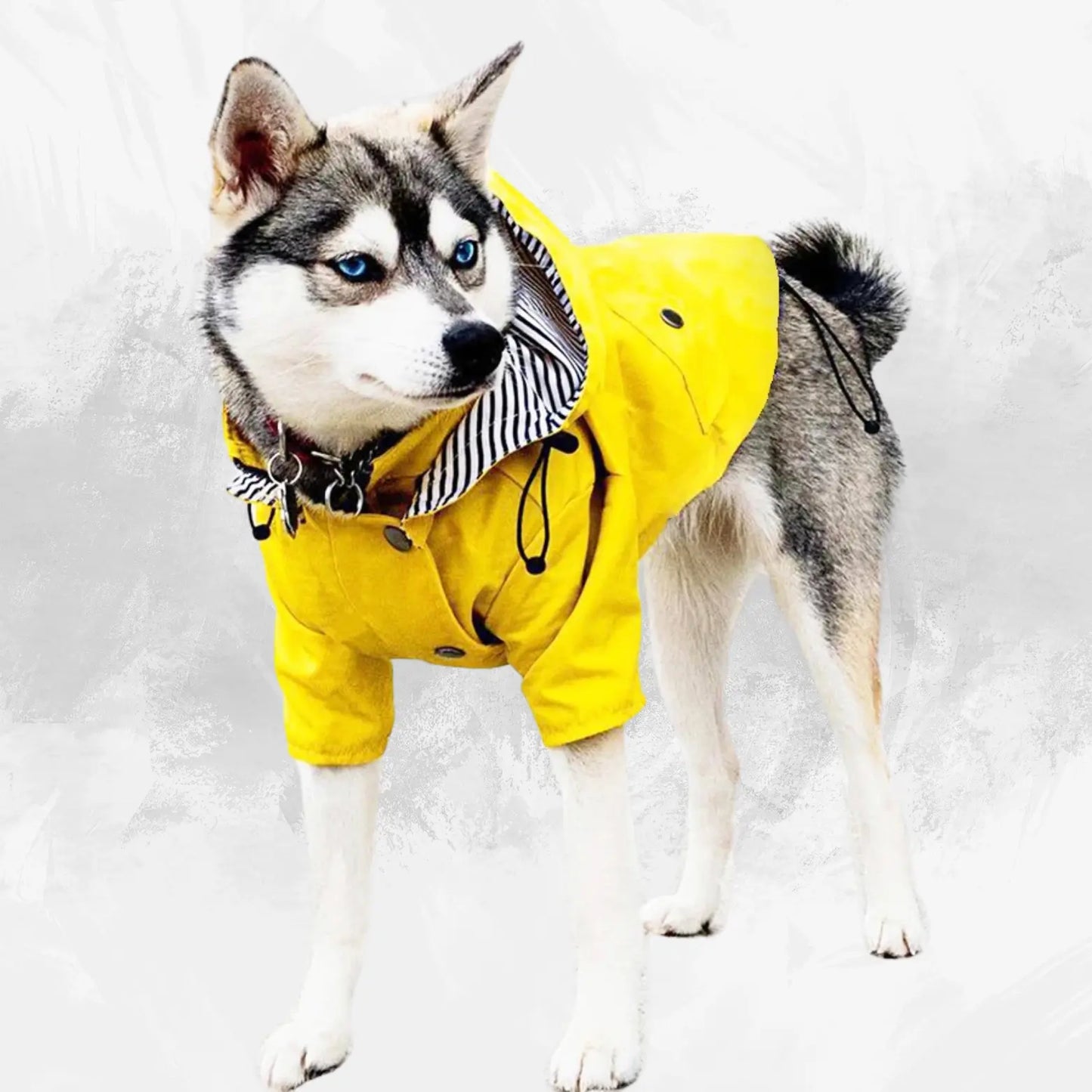 waterproof pet dog coat my shop saver