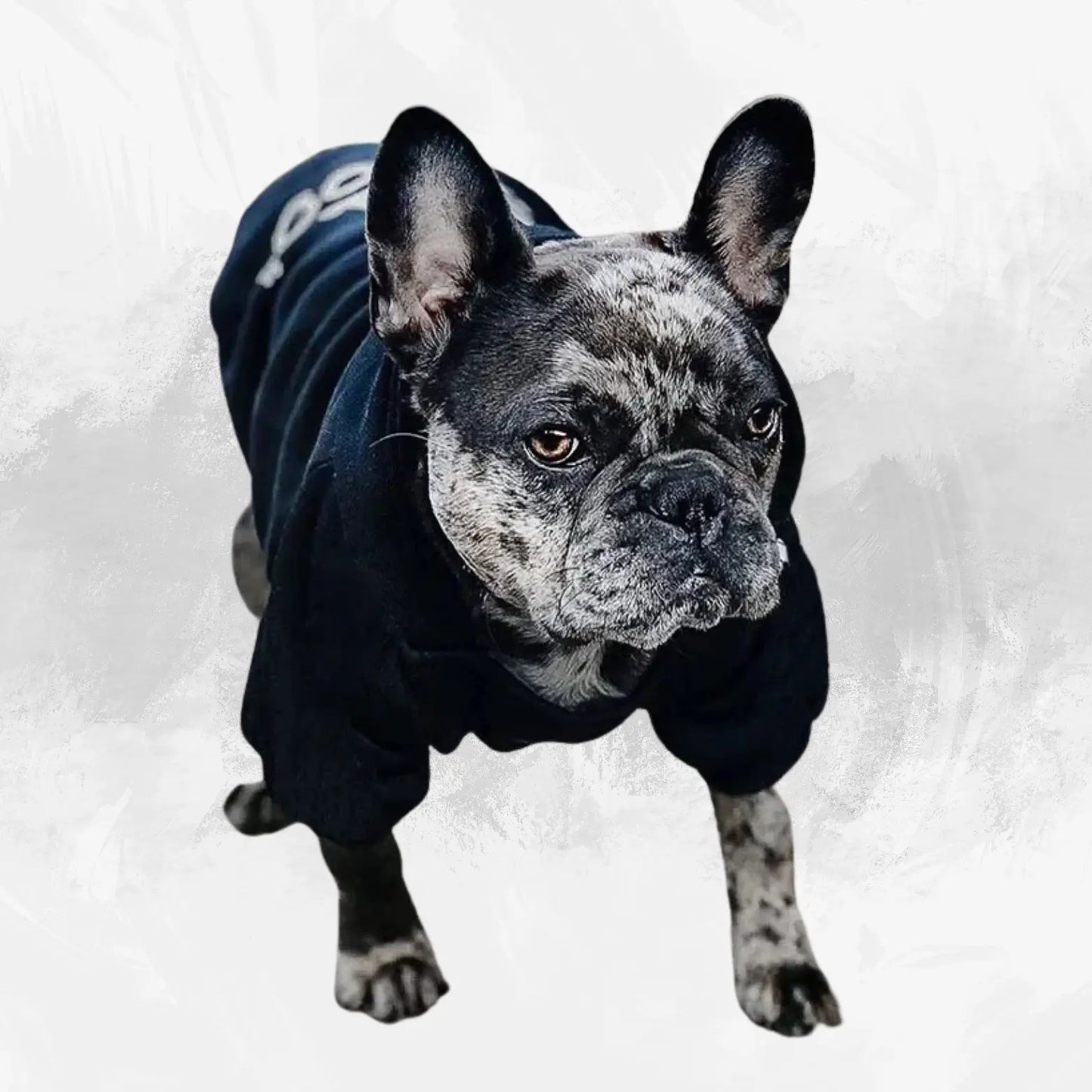 " the dog face" dog hoodies my shop saver